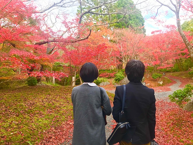 今年は早い？？　京都の紅葉がピークを迎えつつあります！