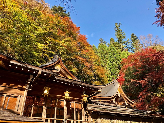 紅葉の京都。　貴船神社で秋晴れの中、挙式が執り行われました！