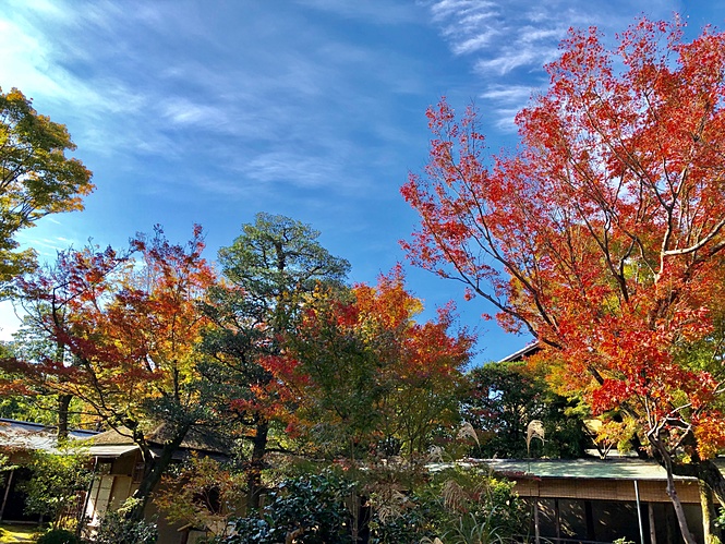 京都で和婚　～大徳寺 黄梅院～　挙式をサポートさせていただきました！