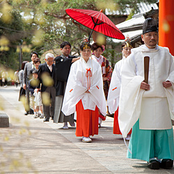 2016年3月27日 挙式:宇治上神社 祝宴:平等院表参道前 竹林 (K.S 様 S.S 様)