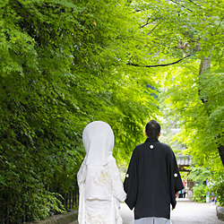 2016年6月5日 挙式:宇治上神社 祝宴:平等院表参道前 竹林 (○○ 様 ○○ 様)