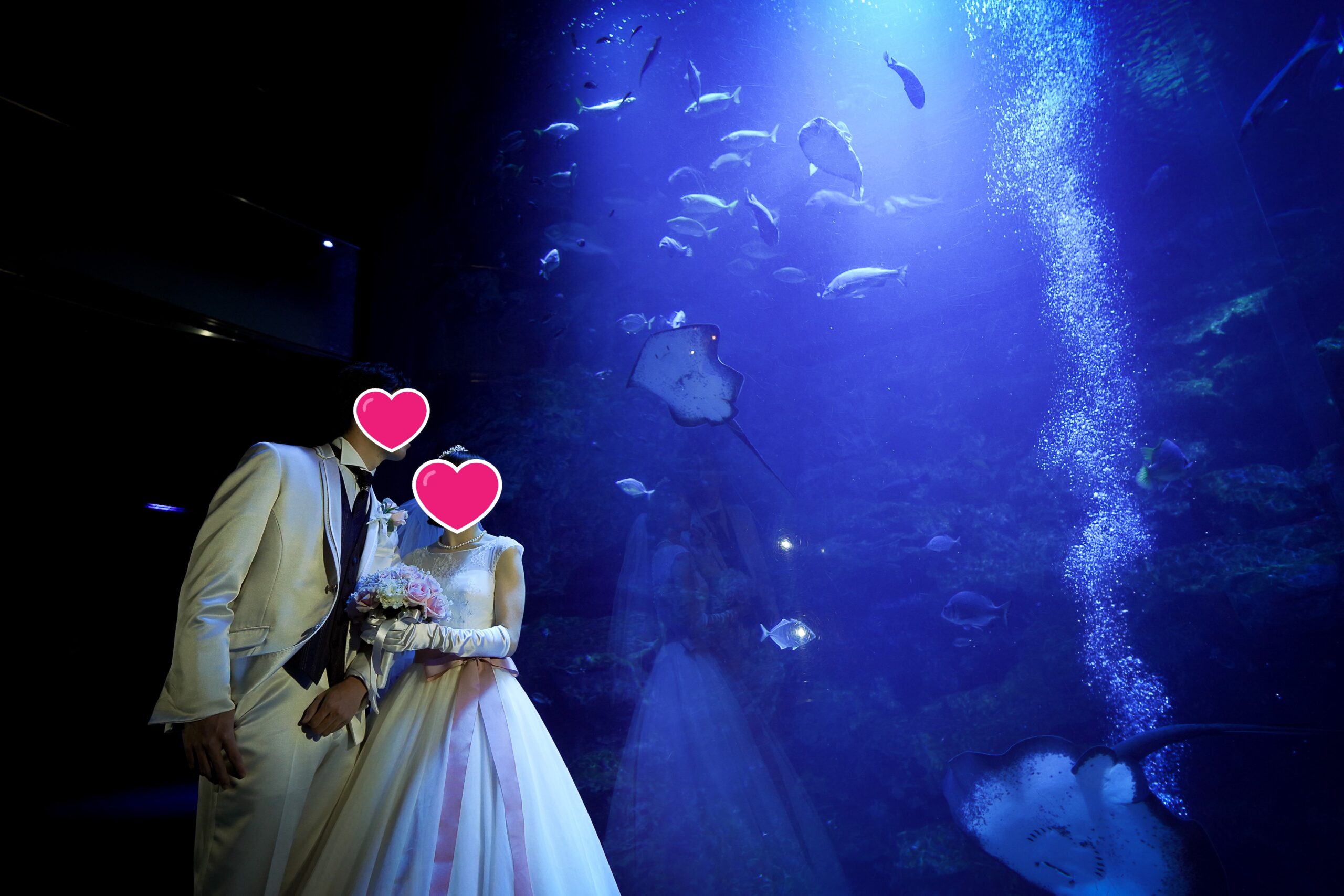 2025年 1月 31日　京都水族館フォトプラン　 (☆ 様　♡様)