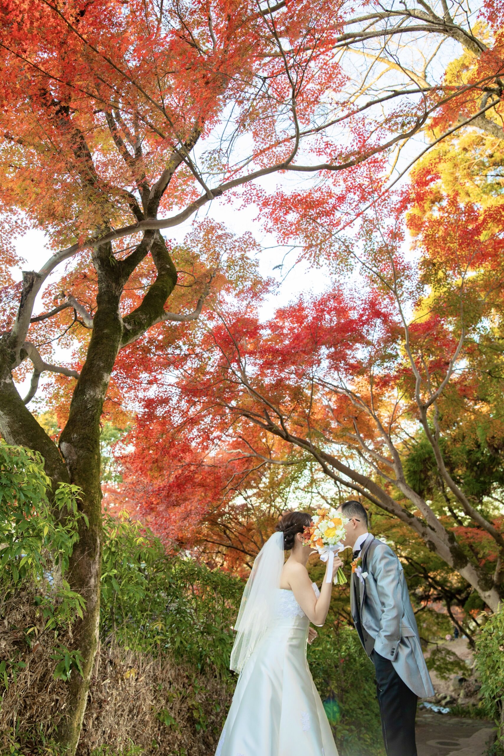 2025年 11月 29日　挙式：吉田神社　　祝宴：左阿彌（ Y.A 様・A.A 様 ）